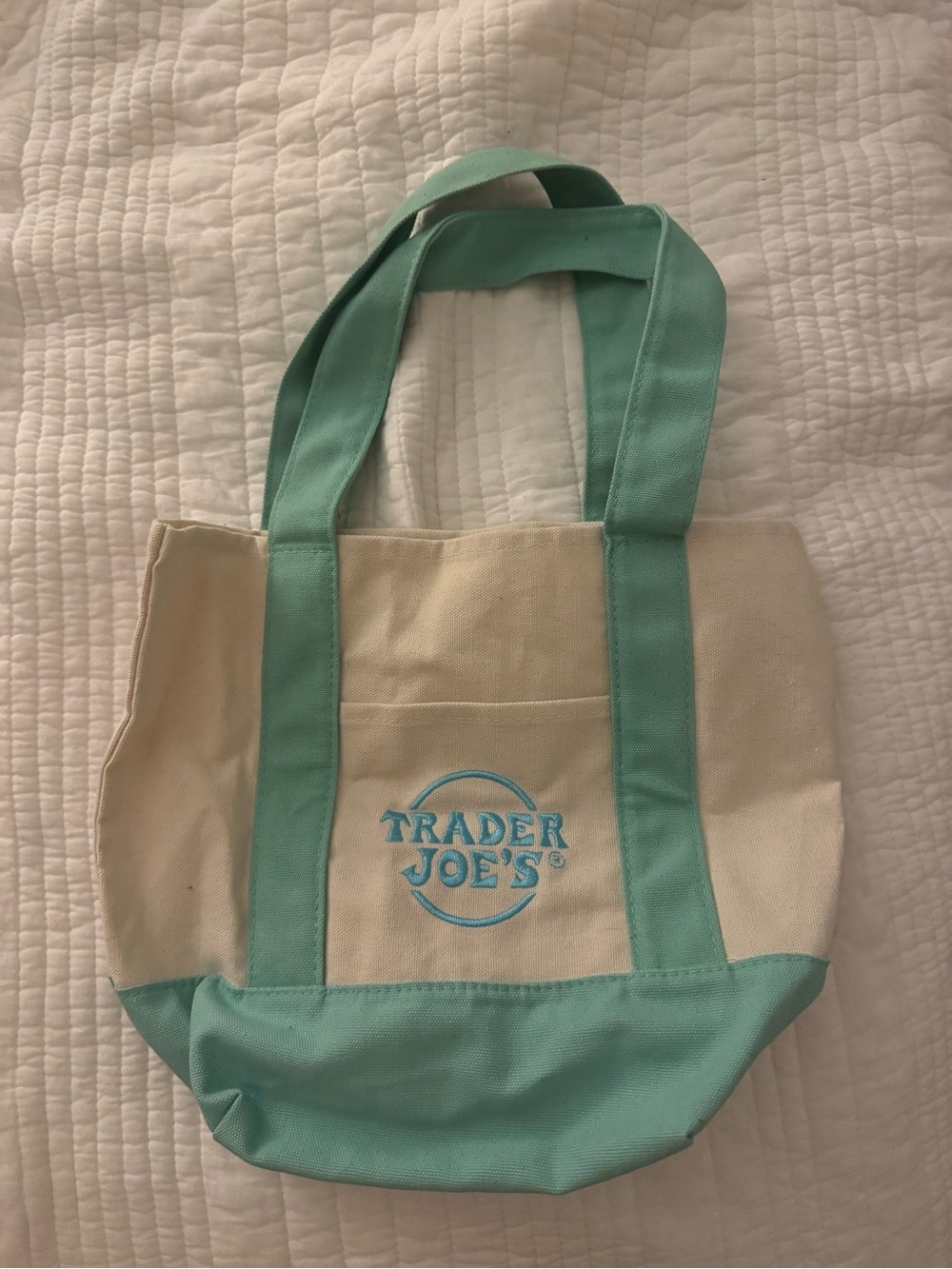 Trader Joe's Mini Canvas Tote Bag in Cream and Mint